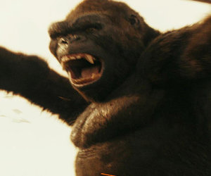 5 Reasons Critics Love 'Kong: Skull Island' (And 3 Reasons Some Don't)
