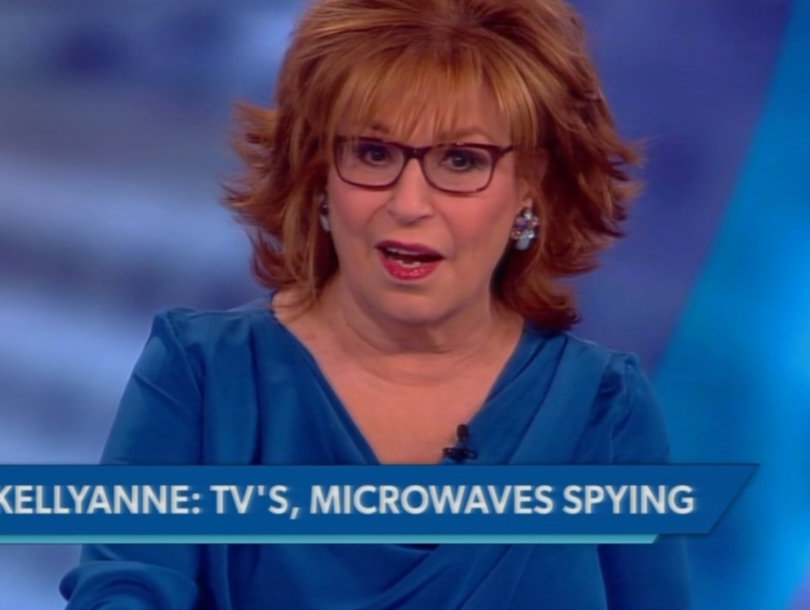 'The View' Mocks Kellyanne Conway's 'Microwave' Surveilance Comments: 'My Dishwasher Called Me a Bitch' (Video)