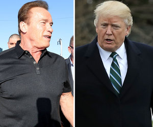 Arnold Schwarzenegger Trolls Trump Over Low Approval Rating