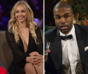 'Bachelor in Paradise' Investigation Has Concluded And Show Will Resume…