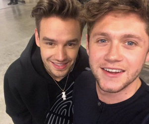 Liam Payne and Niall Horan Reunite