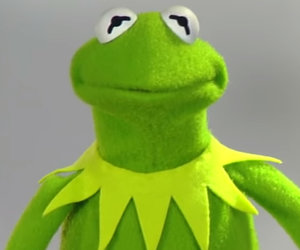 Colbert Auditions Trump Administration for Kermit the Frog
